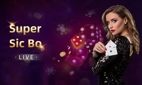 spinbet Bingo